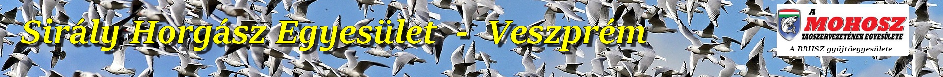 Siralyfooldal utolso