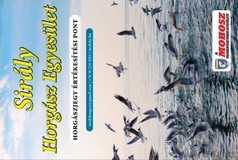 Siraly portal vagott