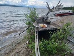 Zoli vizparti sutes 260