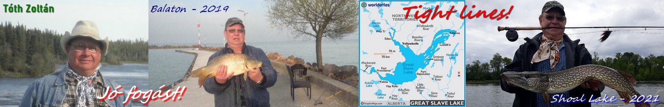 Zoltancat blog fejlec copy