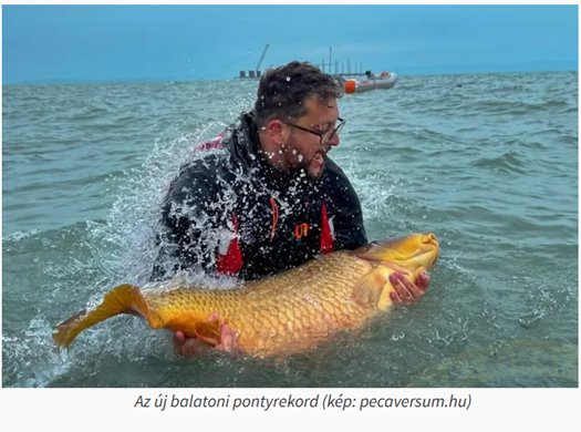 capture 20220429 103144