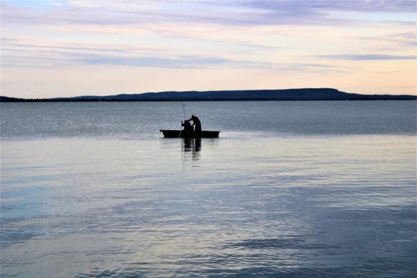 Küzdelem a hinarasban
