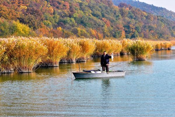 Pusztulásában is gyönyörű!
