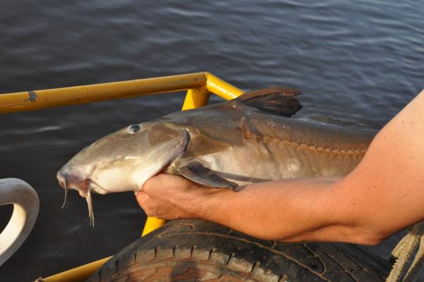 23 /A     Én is kitettem magamért! 
